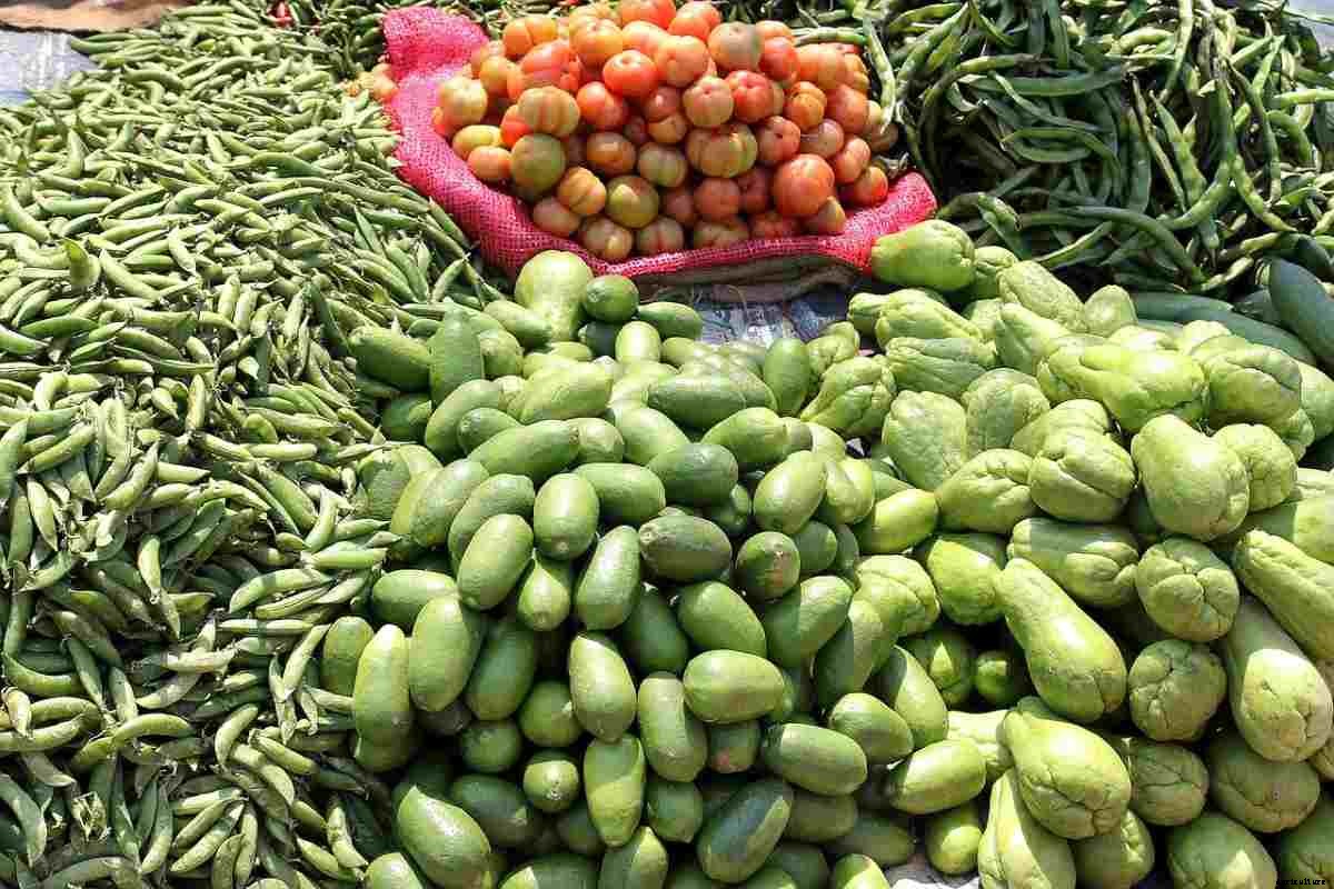 Vegetable Market In India, How To Start Export