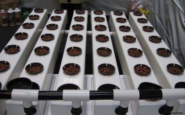 Hydroponic Farming Cost and Profit Analysis