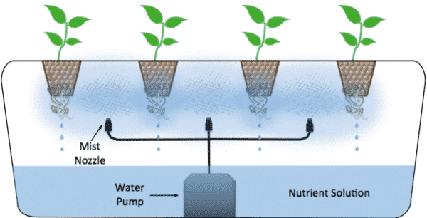 Hydroponic Gardening Techniques, Basics, and Ideas