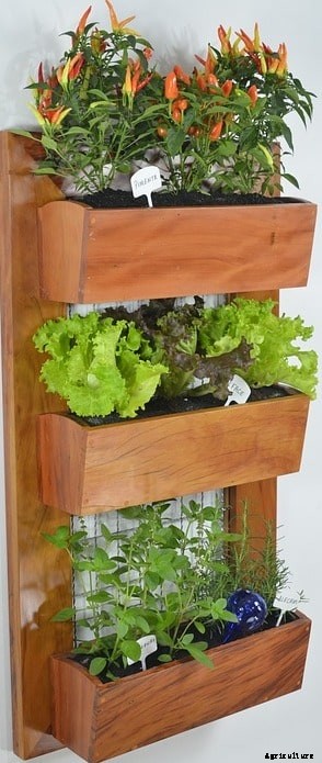 Vertical Gardening Ideas, Techniques, Methods