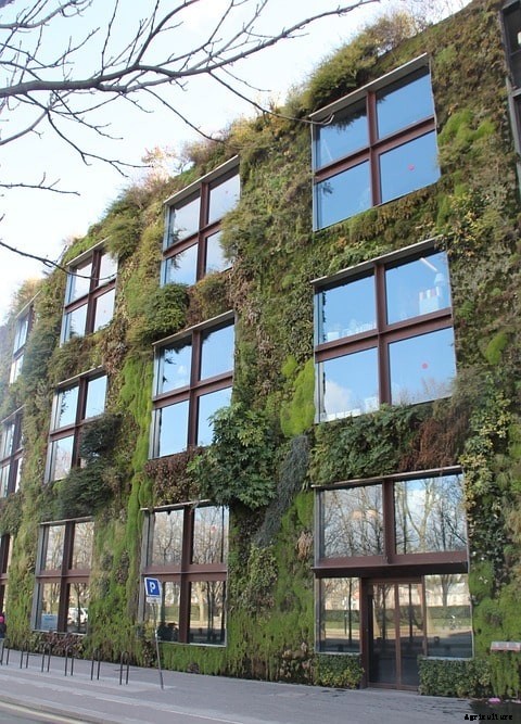 Vertical Gardening Ideas, Techniques, Methods