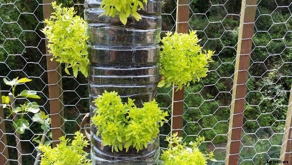 Vertical Gardening Ideas, Techniques, Methods