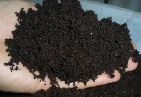 Types of Organic Fertilizers for Plants in Agriculture