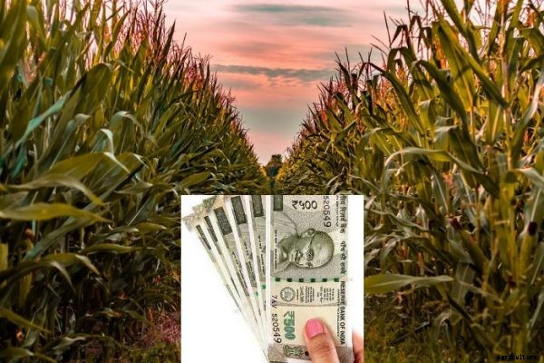 Agriculture Loans For Farmers In India