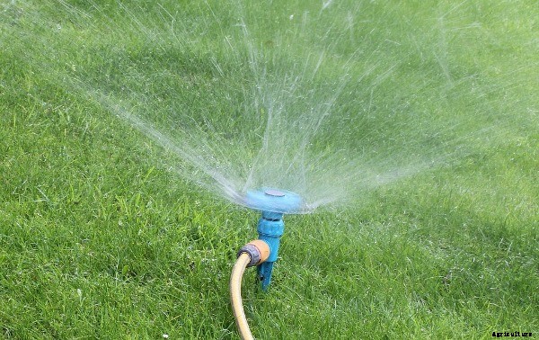 Irrigation Methods – A Beginners Guide