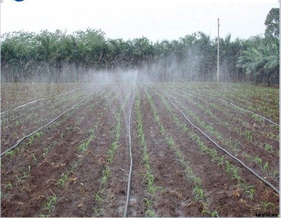 Irrigation Methods – A Beginners Guide