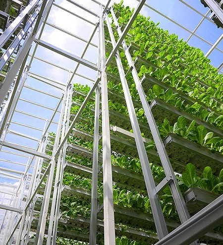 Vertical Cultivation Information For Beginners