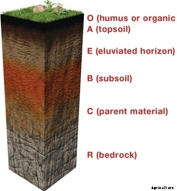 Soil Types and Suitable Crops in India