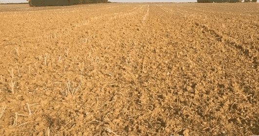 Soil Types and Suitable Crops in India