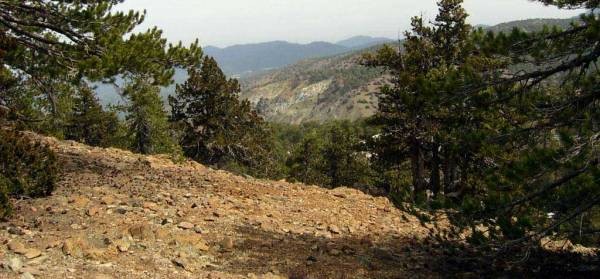 Soil Types and Suitable Crops in India