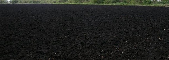 Soil Types and Suitable Crops in India