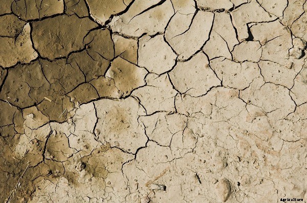 Soil Types and Suitable Crops in India