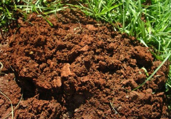 Soil Types and Suitable Crops in India