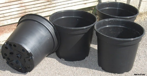 Indoor Gardening – A Beginners Guide