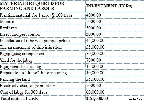 Pomegranate Farming Project Report, Cost, Profit Analysis