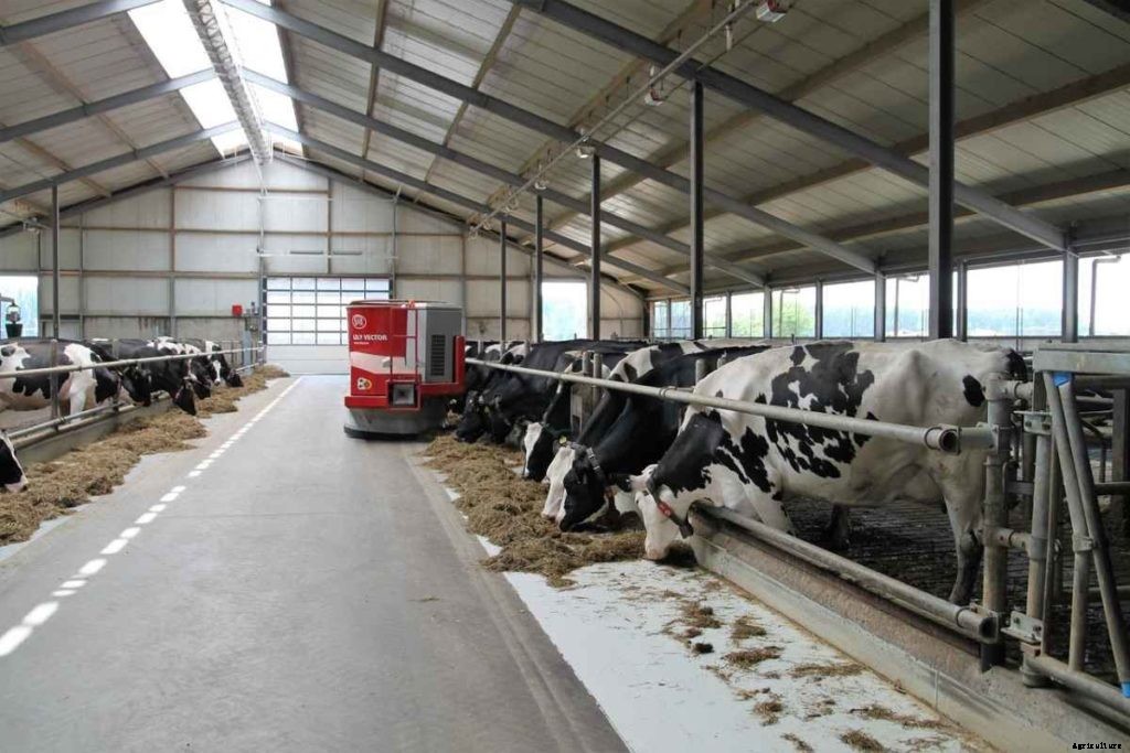 Dairy Farming In Canada – Canadian Dairy Breeds