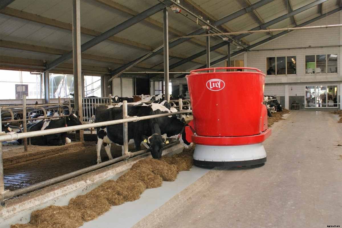 Dairy Farming In Canada – Canadian Dairy Breeds