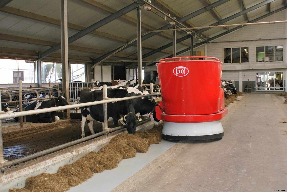 Dairy Housing Systems – Types, Design, Layout