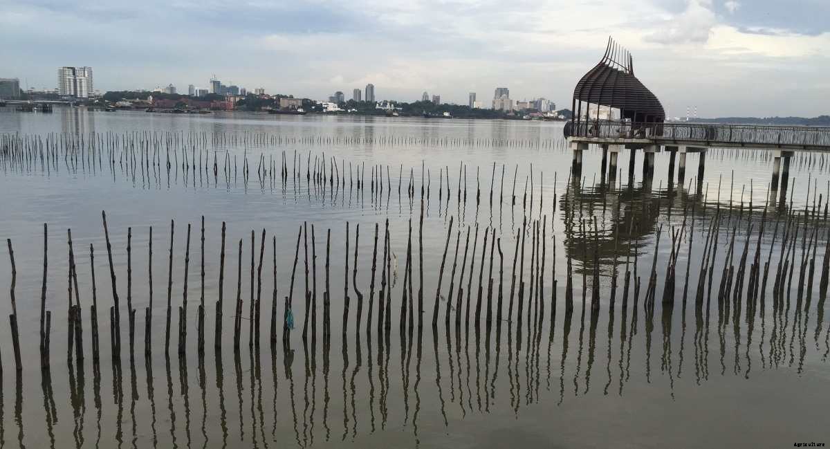 Aquaculture In Bangladesh – Production Guide