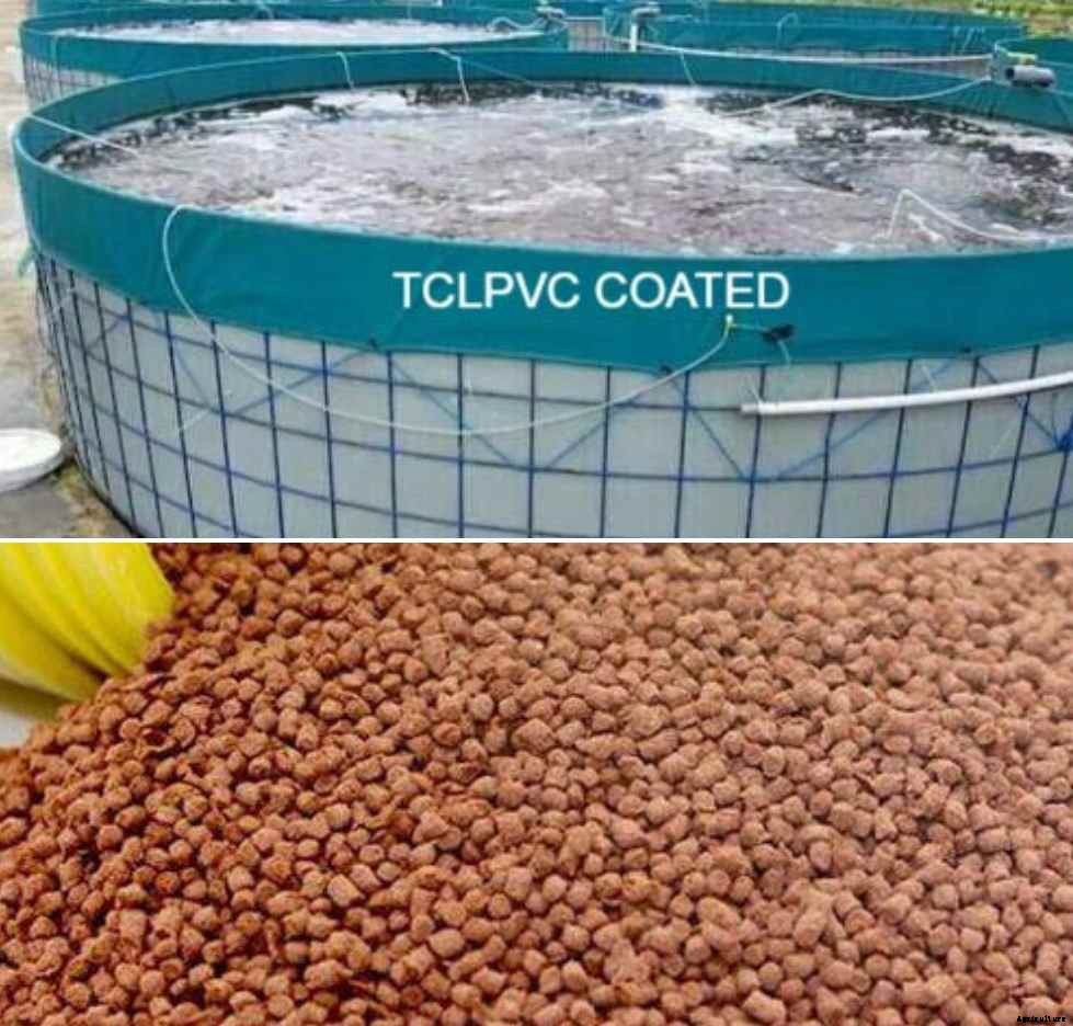 Biofloc Fish Feeding Chart – Per Body Weight