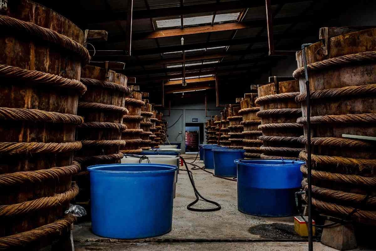 Fish Farming In Tanks – Suitable Fish Breeds, And Tilapia