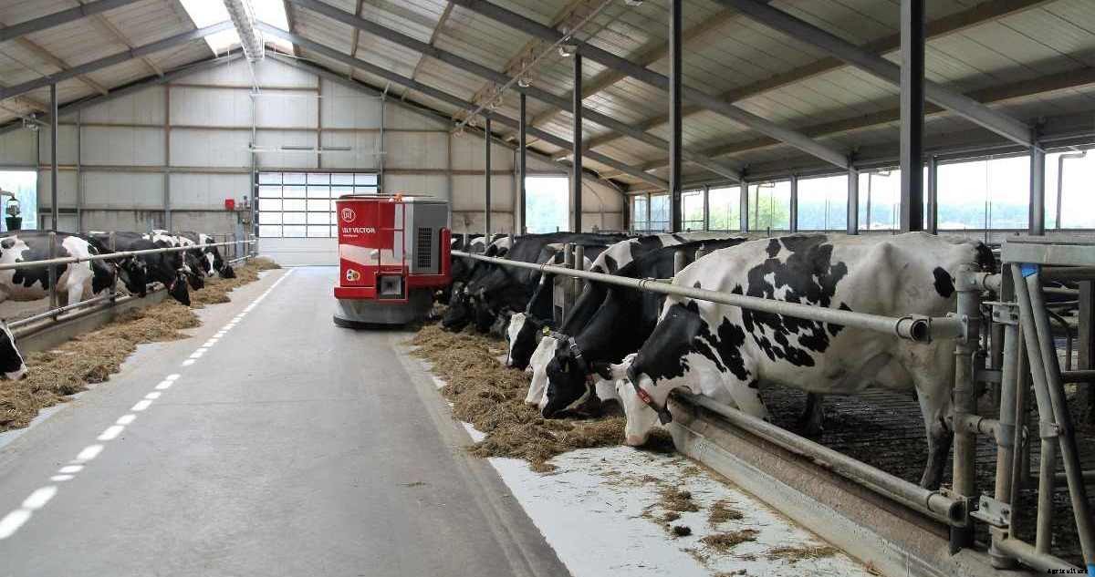 Dairy Farm License in India, Rules, Guidelines, Permissions