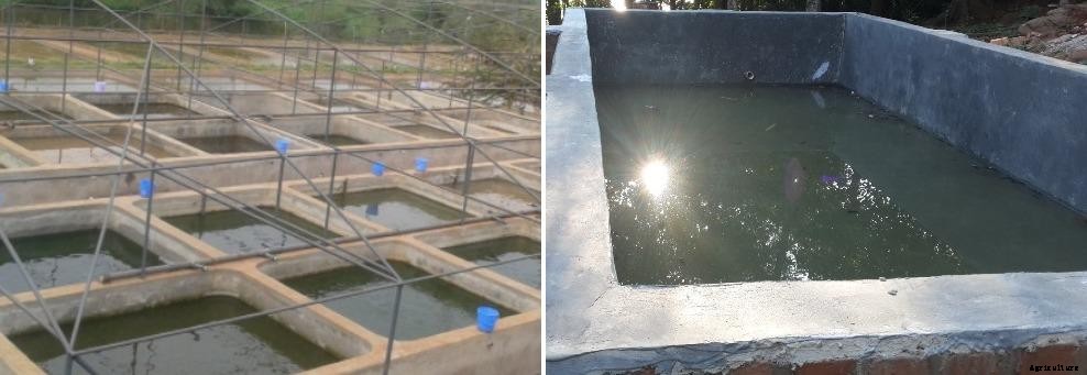 How to Build a Fish Pond with Concrete