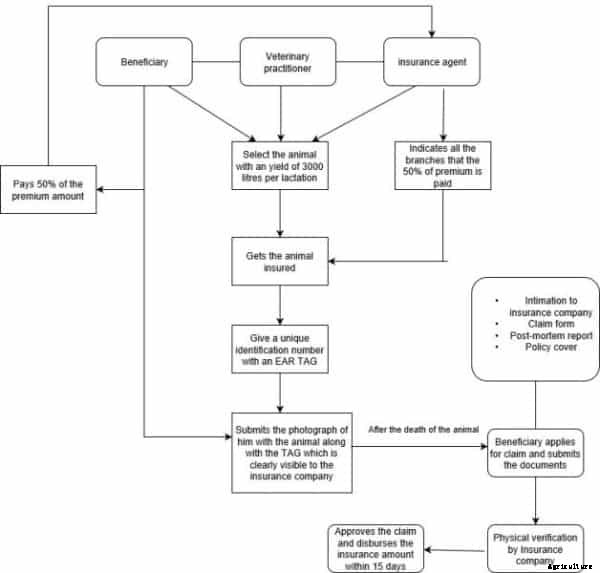 Livestock Insurance Scheme, Claim Procedure In India