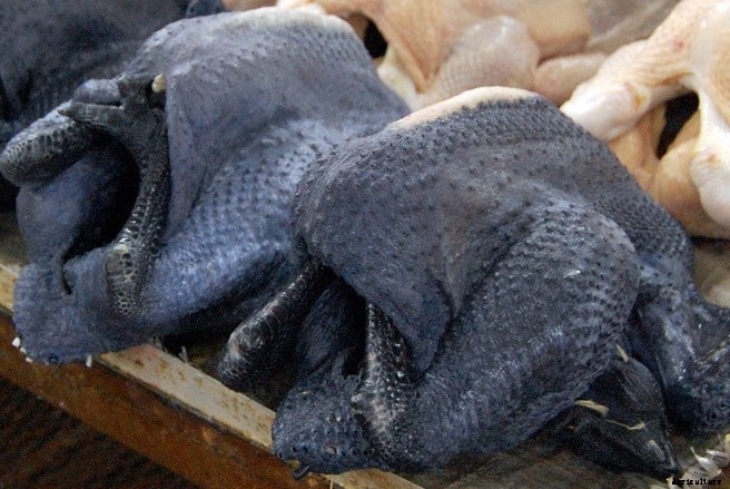 Kadaknath Farming Guide, Loan, Subsidy, Contract Farming