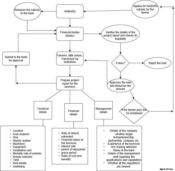 Dairy Farm Project Report For Bank Loan, Project Proposal