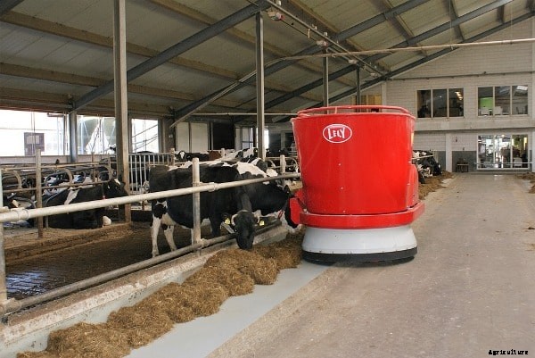 Dairy Farming In Gujarat, Loans, Subsidies, Schemes