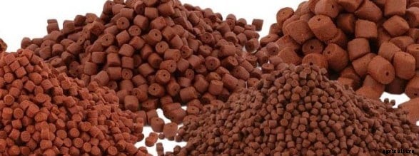 Fish Feed Preparation At Home, Fish Feeding Methods