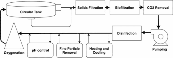 RAS Fish Farming (Recirculating Aquaculture System)