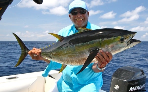 Fish Farming Business Plan For Beginners