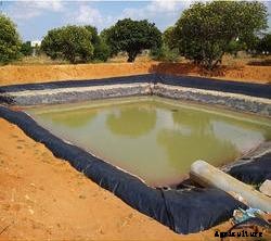 Fish Farming Business Plan For Beginners