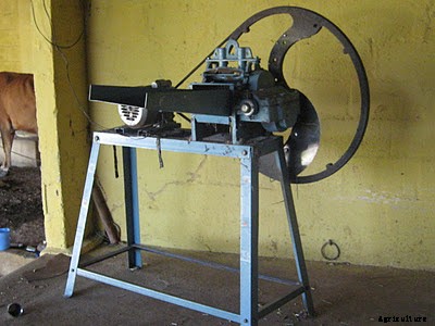 Starting a Goat Farming Business For Beginners