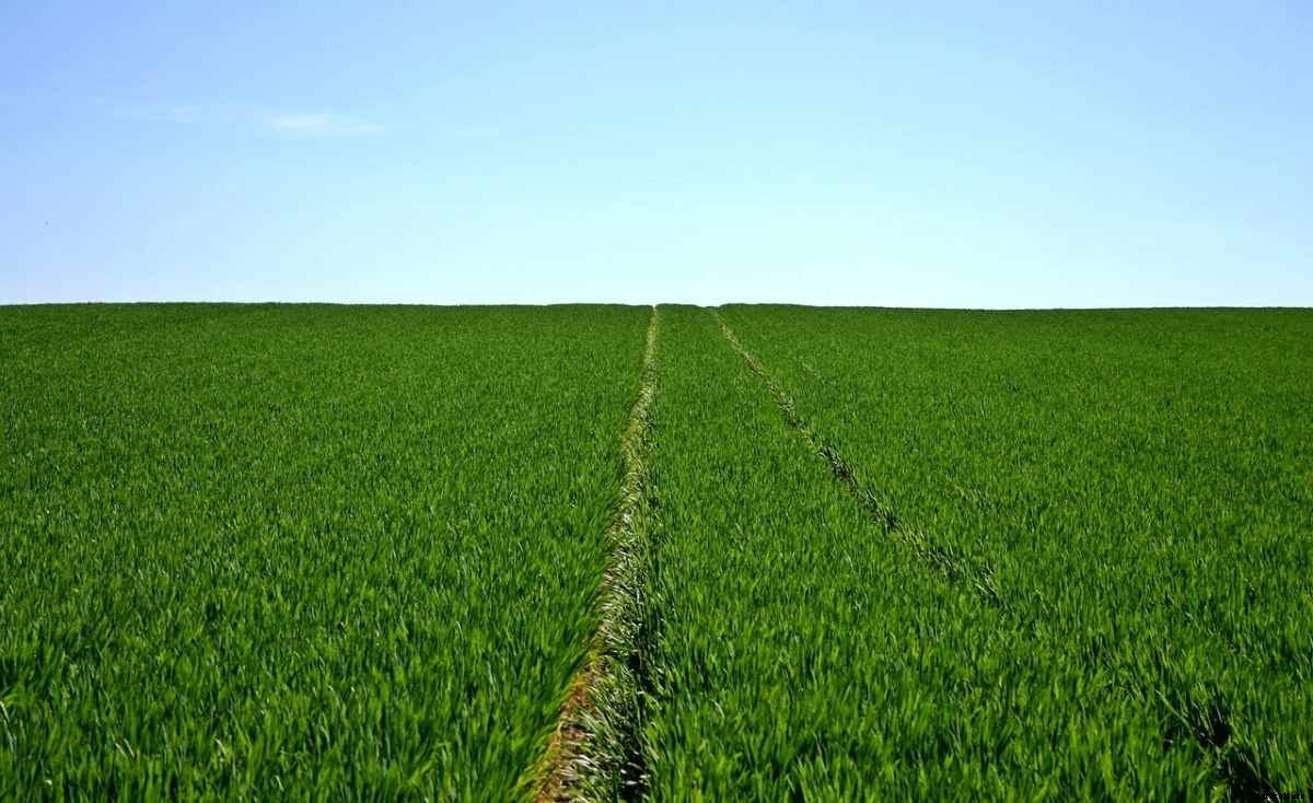 How To Buy Agricultural Land In Kerala