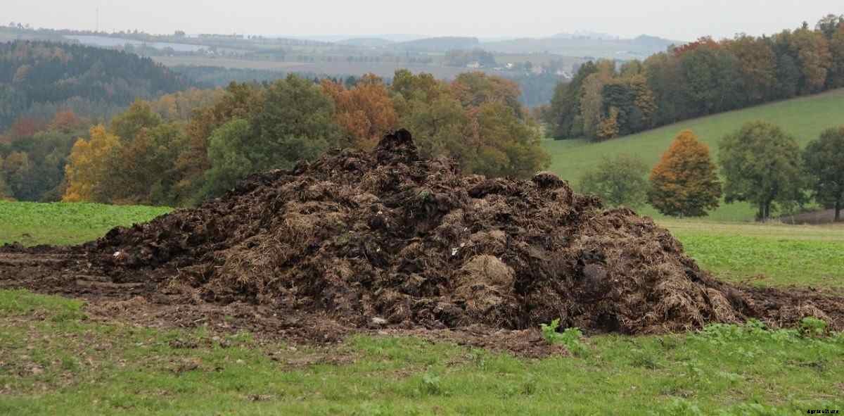 Organic Farming In West Bengal, How To Start