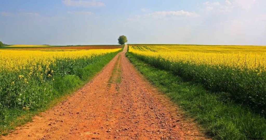 Who Can Buy Agricultural Land In The USA