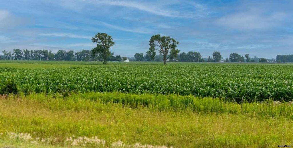 Who Can Buy Agricultural Land In The USA