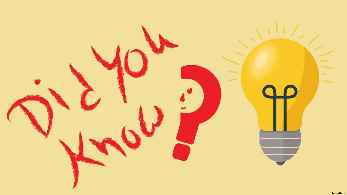 How To Buy Agricultural Land In Madhya Pradesh