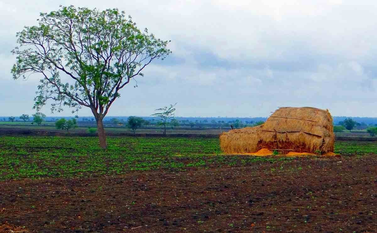 How To Buy Agricultural Land in Maharashtra