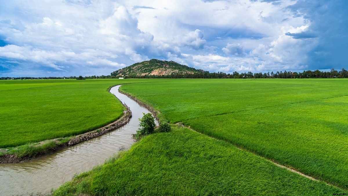 Organic Farming In Uttar Pradesh, How To Start