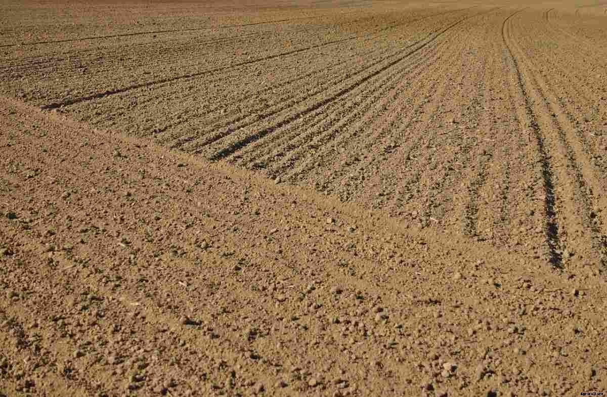 How To Buy Agricultural Land In Haryana