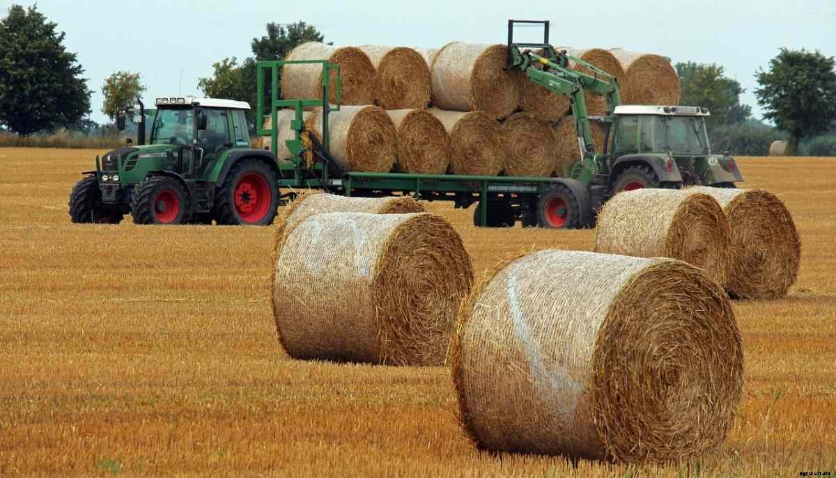 How To Buy Agricultural Land In Haryana