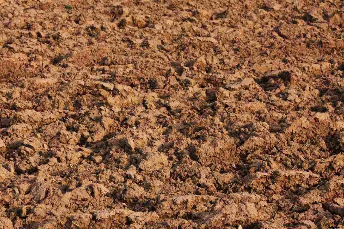 How To Buy Agricultural Land In Andhra Pradesh