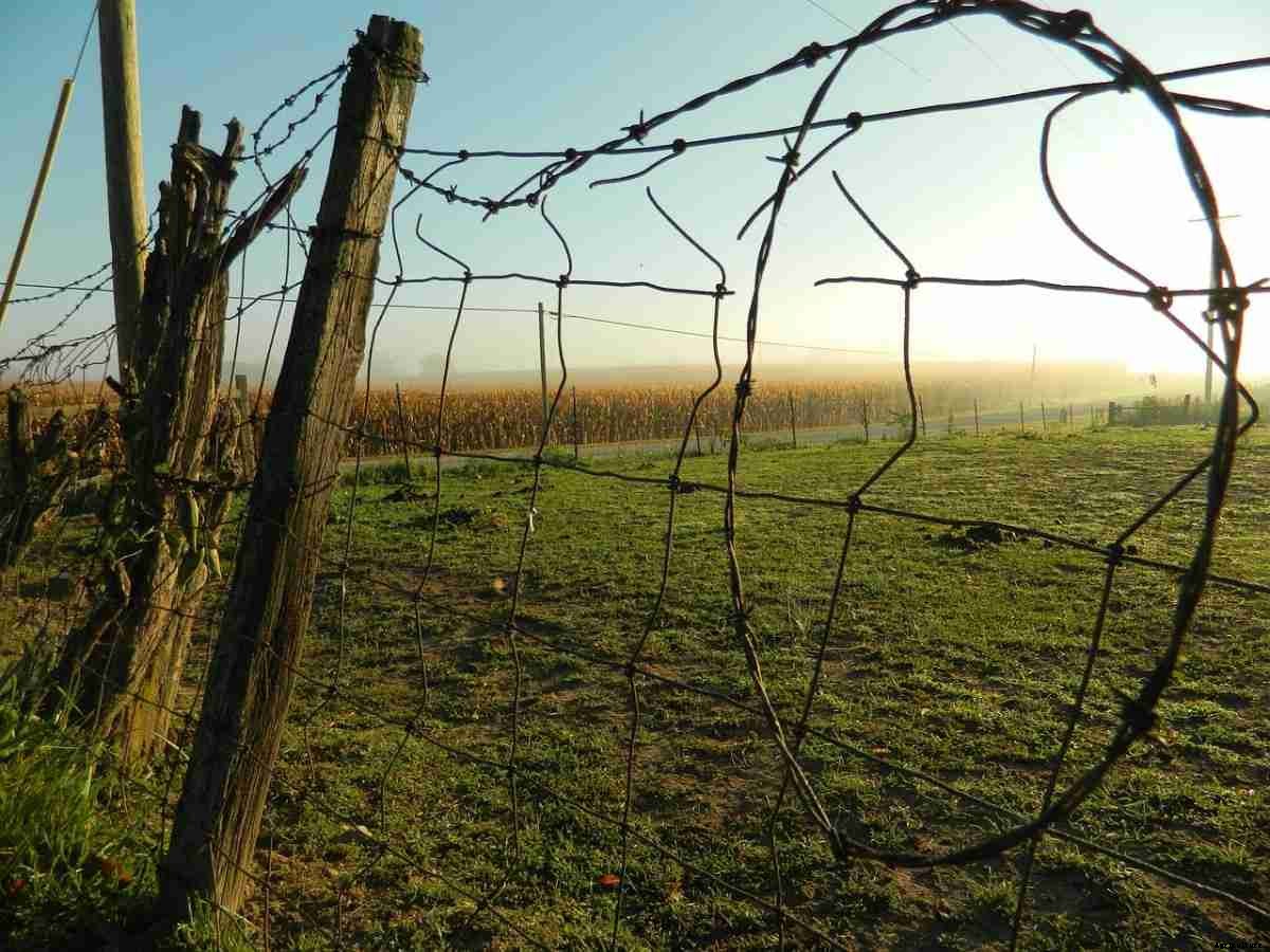 1 Acre Fence Cost In India, Agriculture, Types