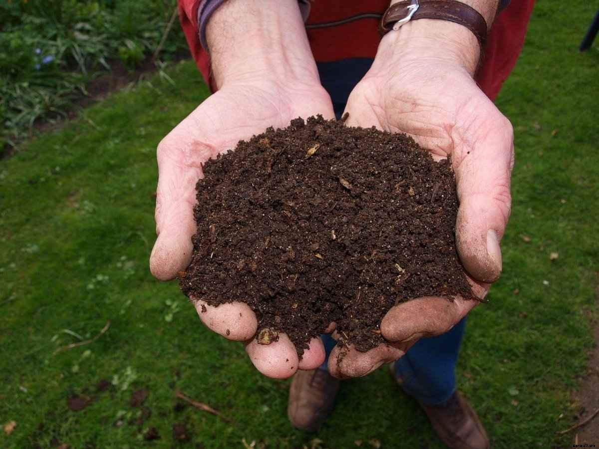 Biofertilizers In Agriculture, Types, Advantages