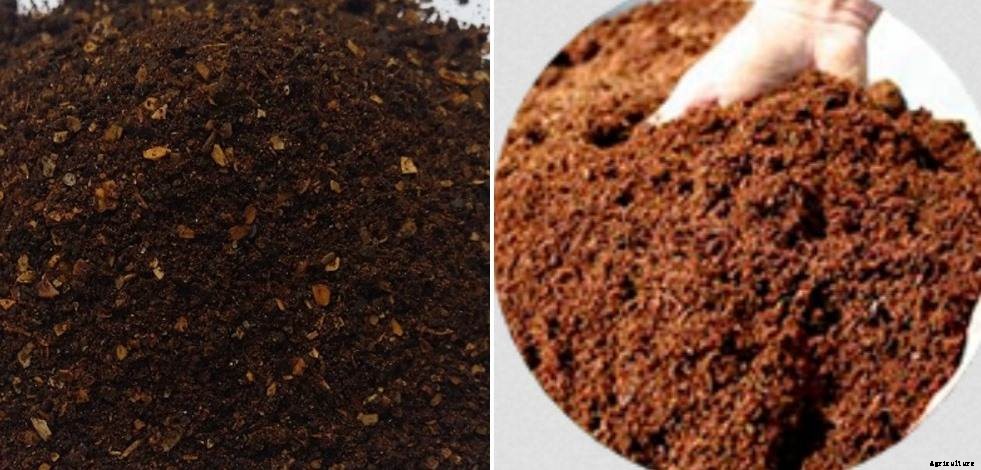 Biofertilizers In Agriculture, Types, Advantages