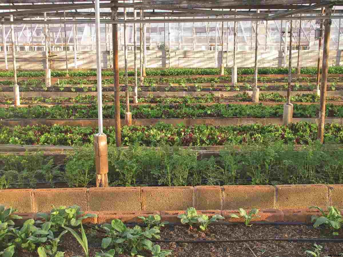 Urban Agriculture In Australia, Farming Practices
